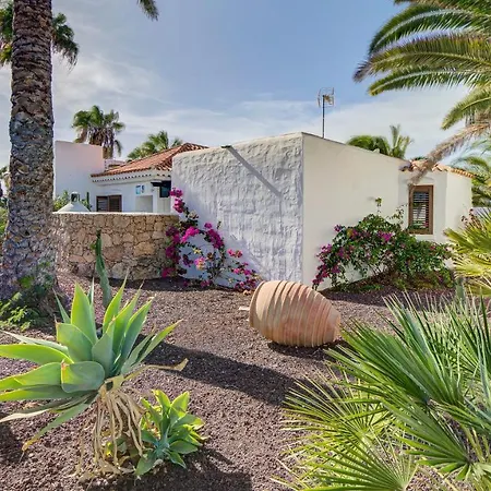 Savila * カレタ・デ・フステ