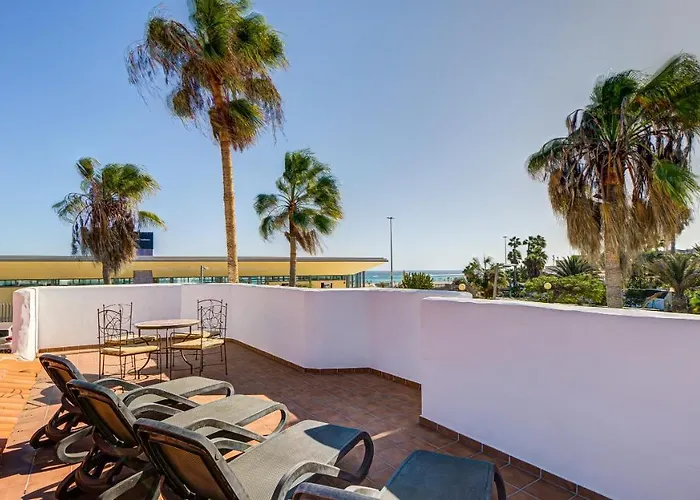 Savila カレタ・デ・フステ