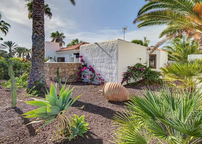 Sávila * Caleta De Fuste